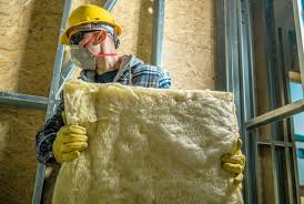 Best Insulation Removal  in Catlettsburg, KY